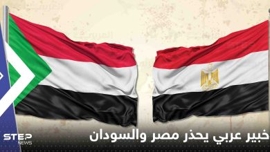 خبير عربي يحذر مصر والسودان من زلزال مدمر ويكشف السبب