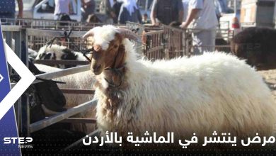 مرض خطير ينتشر في أسواق الماشية بالأردن