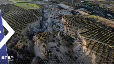 بالفيديو|| "وادي ضخم" يتشكل بمزرعة زيتون في هاتاي التركية بسبب الزلزال