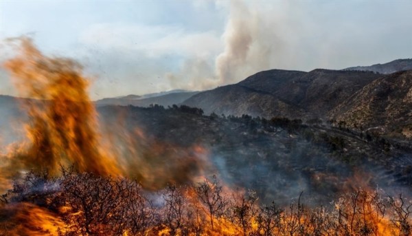 شاهد|| حرائق غابات "هائلة" تدمر قرابة الـ10 آلاف فدان في إسبانيا وتشرد مئات القرويين