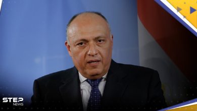 "كل الخيارات مفتوحة".. وزير الخارجية المصري يكشف سياسة مصر في ملف "سد النهضة"