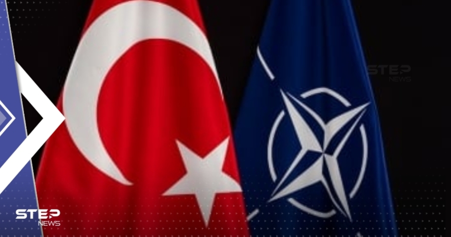 أردوغان: قررنا الموافقة على بروتوكول انضمام فنلندا إلى حلف الناتو