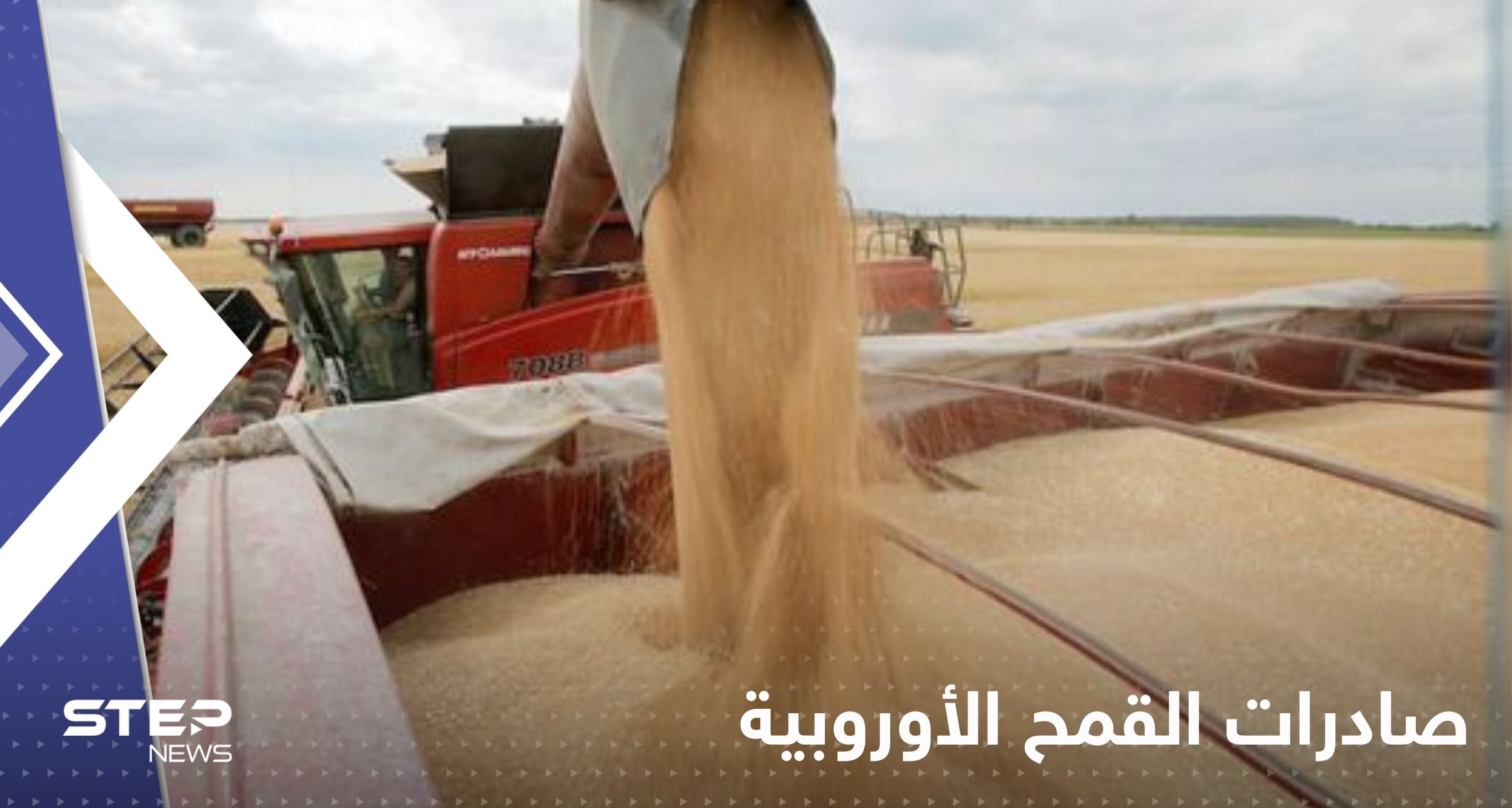صادرات القمح الأوروبية تتحول إلى المغرب