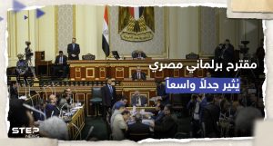 "الدولة ربتهم وعلمتهم"... مقترح برلماني باقتطاع نسبة من رواتب المصريين في الخارج