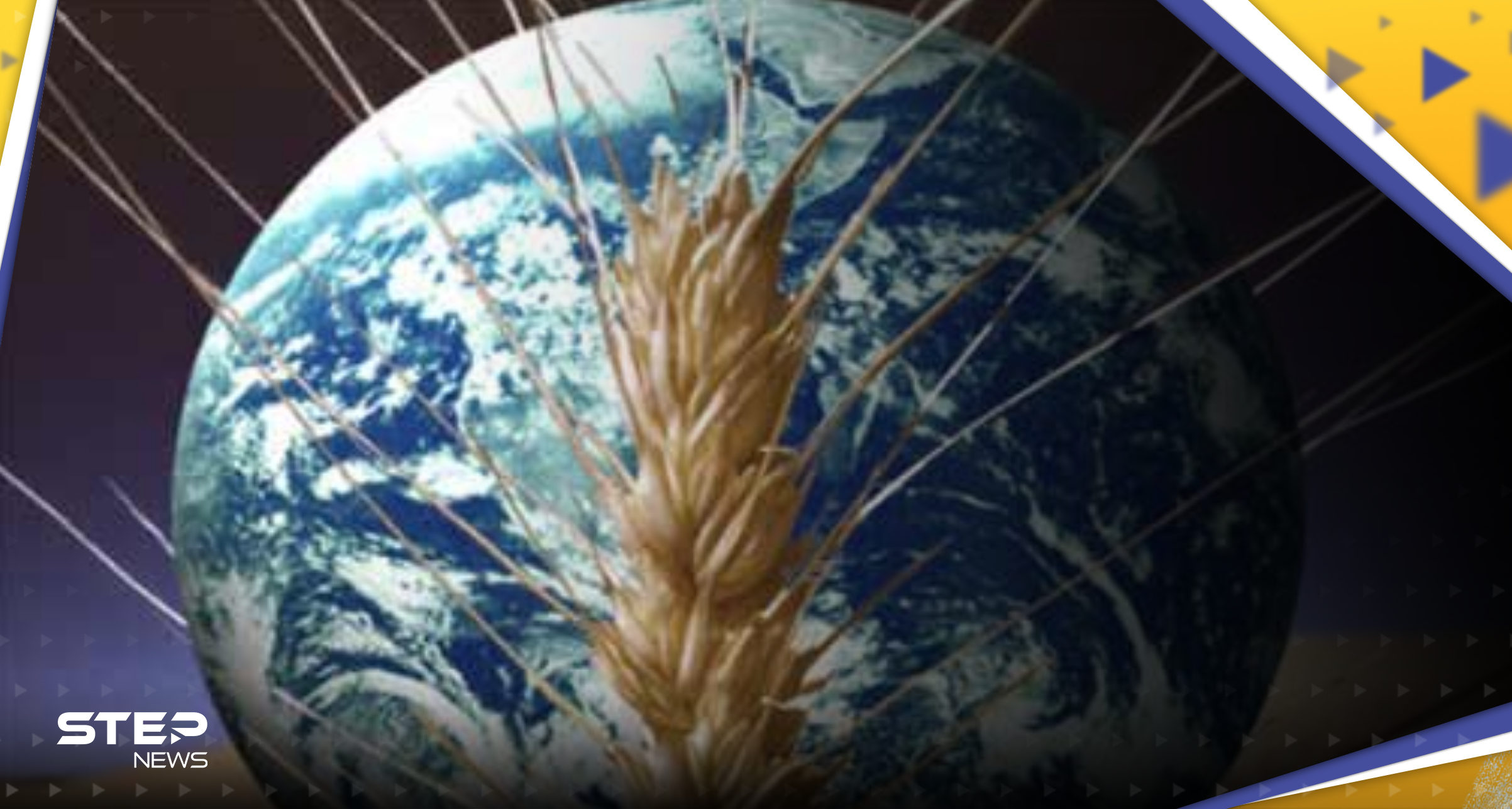 مركز عالمي لتصدير الحبوب في مصر.. روسيا تتحدث عن حل لمشكلة الأزمة الغذائية 