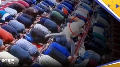 بالفيديو|| لحظة طعن إمام مسجد أمريكي أثناء صلاة الفجر والقبض على الفاعل