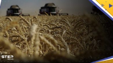 ثالث دولة أوروبية تحظر الحبوب الأوكرانية بسبب مشاكل في إسعارها