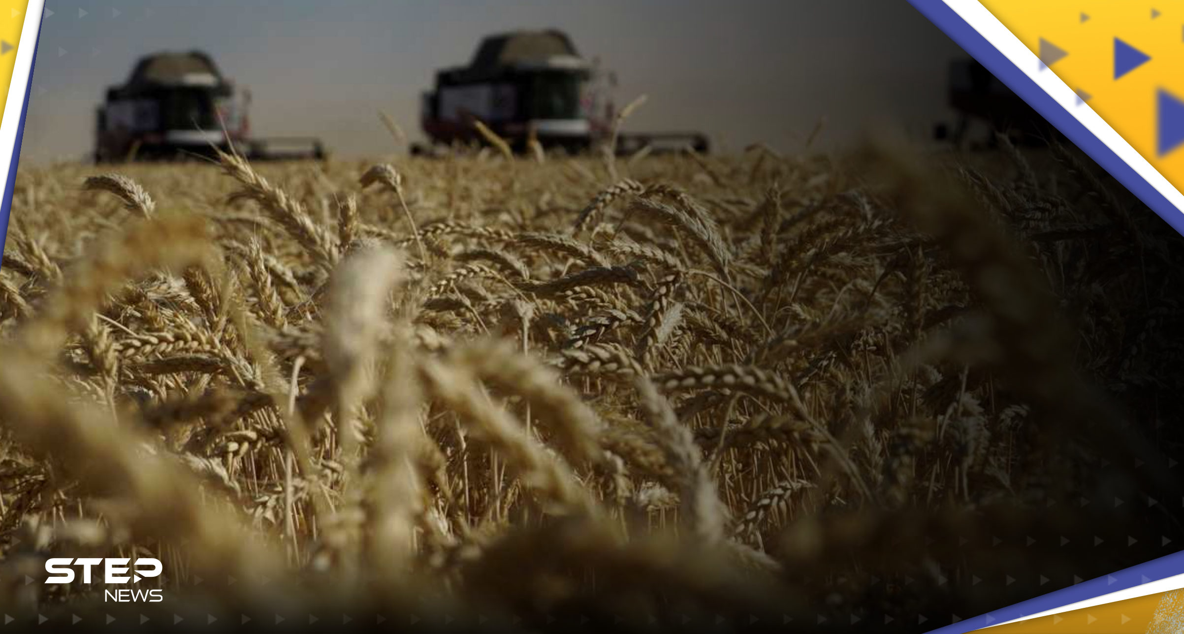 ثالث دولة أوروبية تحظر الحبوب الأوكرانية بسبب مشاكل في إسعارها