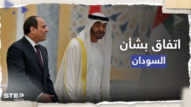 بعد عودة الجنود المصريين.. مكالمة بين السيسي ومحمد بن زايد بشأن السودان