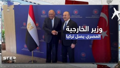 وزير الخارجية المصري يصل تركيا