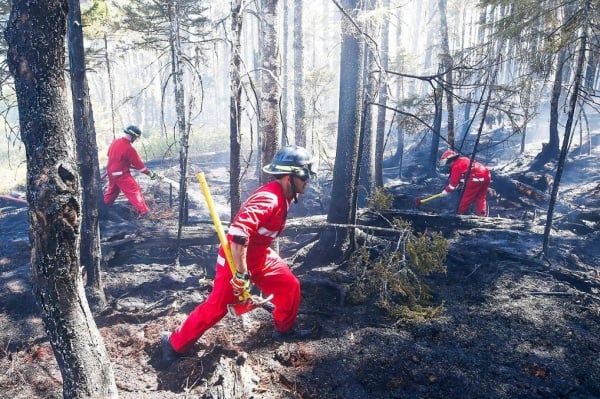 - حرائق غابات غير مسبوقة في كندا
