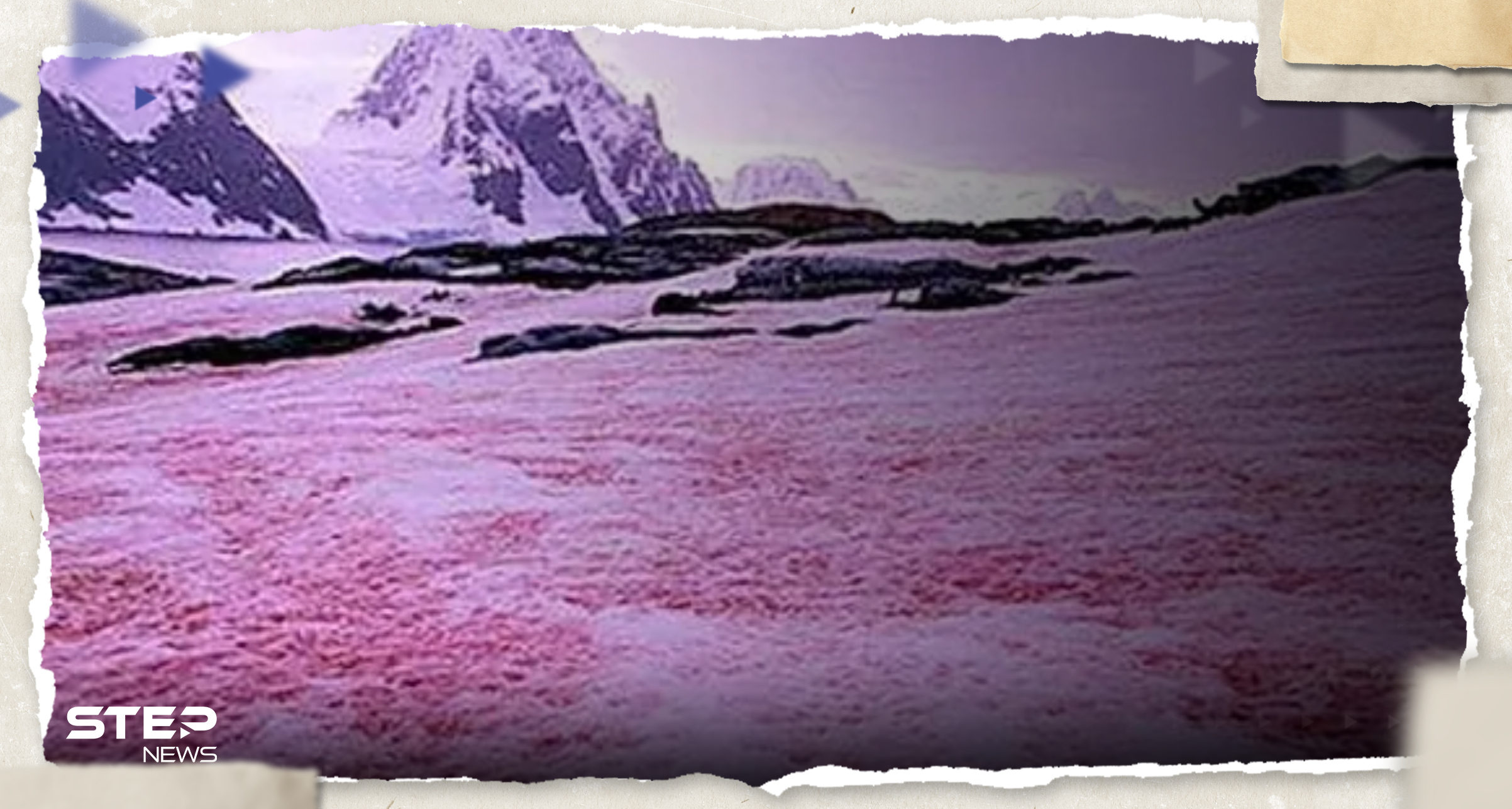 شاهد|| "الثلج الوردي".. سكان ولاية أمريكية يشهدون ظاهرة غريبة وعلماء يفسرونها