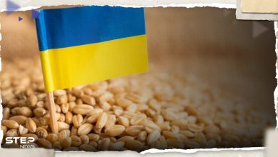 أوكرانيا تقترح على تركيا استمرار صفقة الحبوب بدون روسيا وموسكو ترد