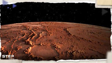 شاهد|| "أغرب ما شاهدته".. صور حديثة من سطح المريخ تثير فضول العلماء