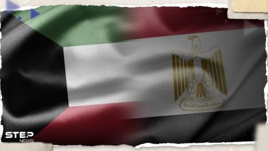 فيديو كاد يُشعل فتنة.. الكويت تُطالب مصر بالتحرك سريعاً