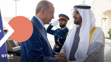 تفاصيل لقاء رئيس دولة الإمارات وأردوغان في أبوظبي
