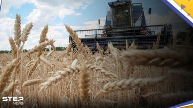 بيان روسي يتحدث عن معلومات خطيرة حول صفقة الحبوب