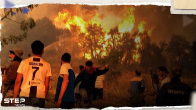 شاهد|| حرائق ضخمة في الجزائر تلتهم الغابات وتصيب العشرات وألسنة اللهب تصل البيوت