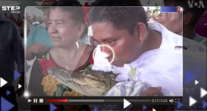مكسيكي يتزوج من أنثى التمساح 