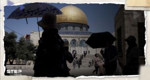 "لبناء هيكل في القدس".. 5 بقرات حُمر في إسرائيل تنذر بحرب دينية