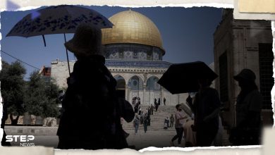 "لبناء هيكل في القدس".. 5 بقرات حُمر في إسرائيل تنذر بحرب دينية