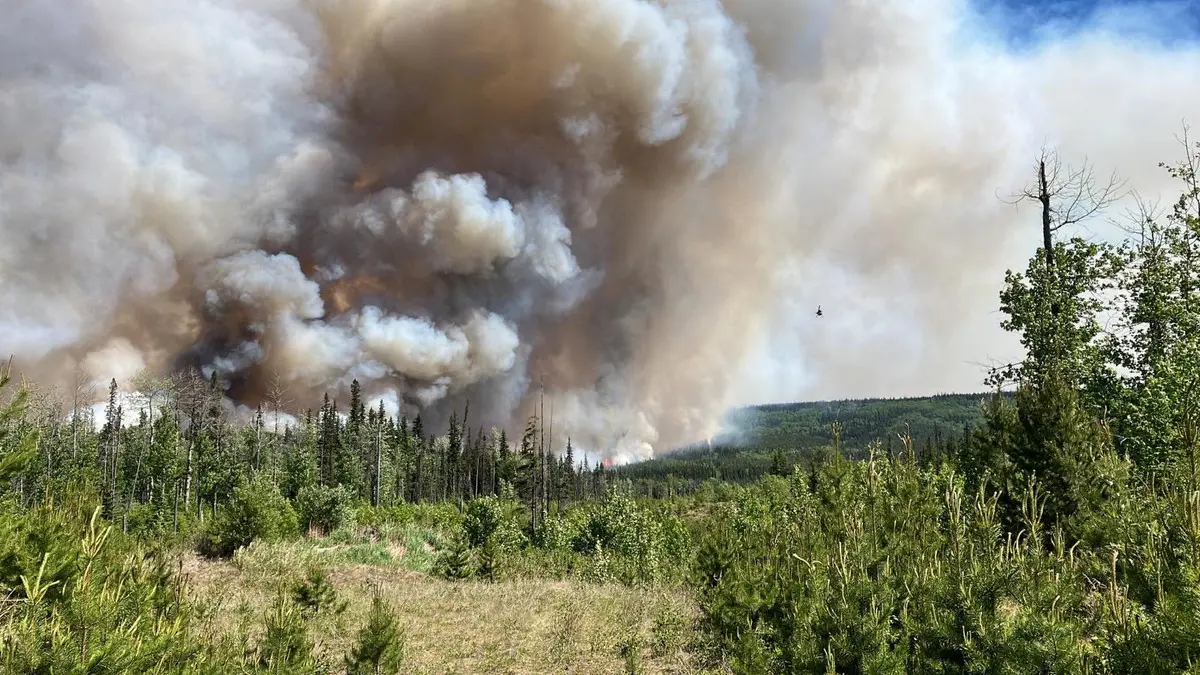 شاهد|| حرائق الغابات بكندا تحول عاصمة الأقاليم الشمالية الغربية لـ"مدينة أشباح"
