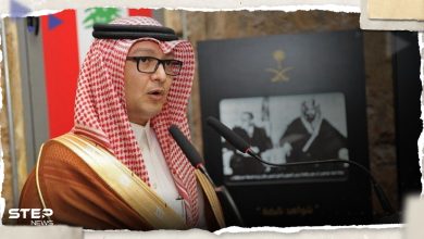 كاشفاً سبب الدعوة لمغادرة السعوديين.. البخاري: أمنا مظلات دولية للبنان