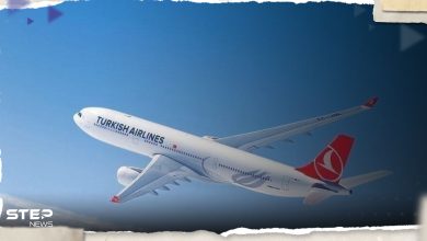 صحيفة: شركة تركية تستأنف الرحلات السياحة إلى دمشق وتحدد الموعد والمبلغ المطلوب