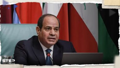الرئيس المصري يطرح أهدافاً تنموية للقارة الأفريقية على مجموعة العشرين