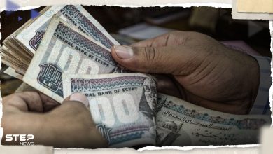 اتفاق لمقايضة العملات بين مصر والإمارات.. والسبب؟