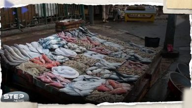 تحذير عاجل في مصر من مادة زرقاء مضيئة في سمك يباع في البلاد
