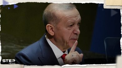 أردوغان يعلن إلغاء زيارته لإسرائيل ويؤكد دعمه حماس