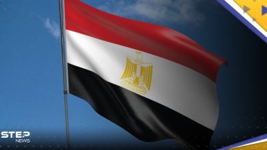 - كيف ترد مصر بعد تعرض أراضيها للاعتداءات المتكررة