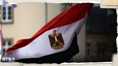 موقف مشترك ورسالة واحدة.. الخارجية المصرية تكشف ما سيقوله العرب لبلينكن اليوم