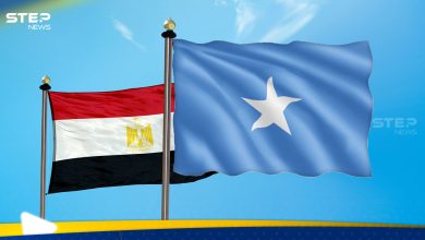 تحركات من الرئيس الصومالي بعد بلبلة اتفاق إثيوبيا.. مصر تدخل على الخط