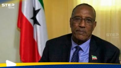زعيم "أرض الصومال" يتحدى التهديدات المصرية ويعلن المضي بإقامة قاعدة لإثيوبيا