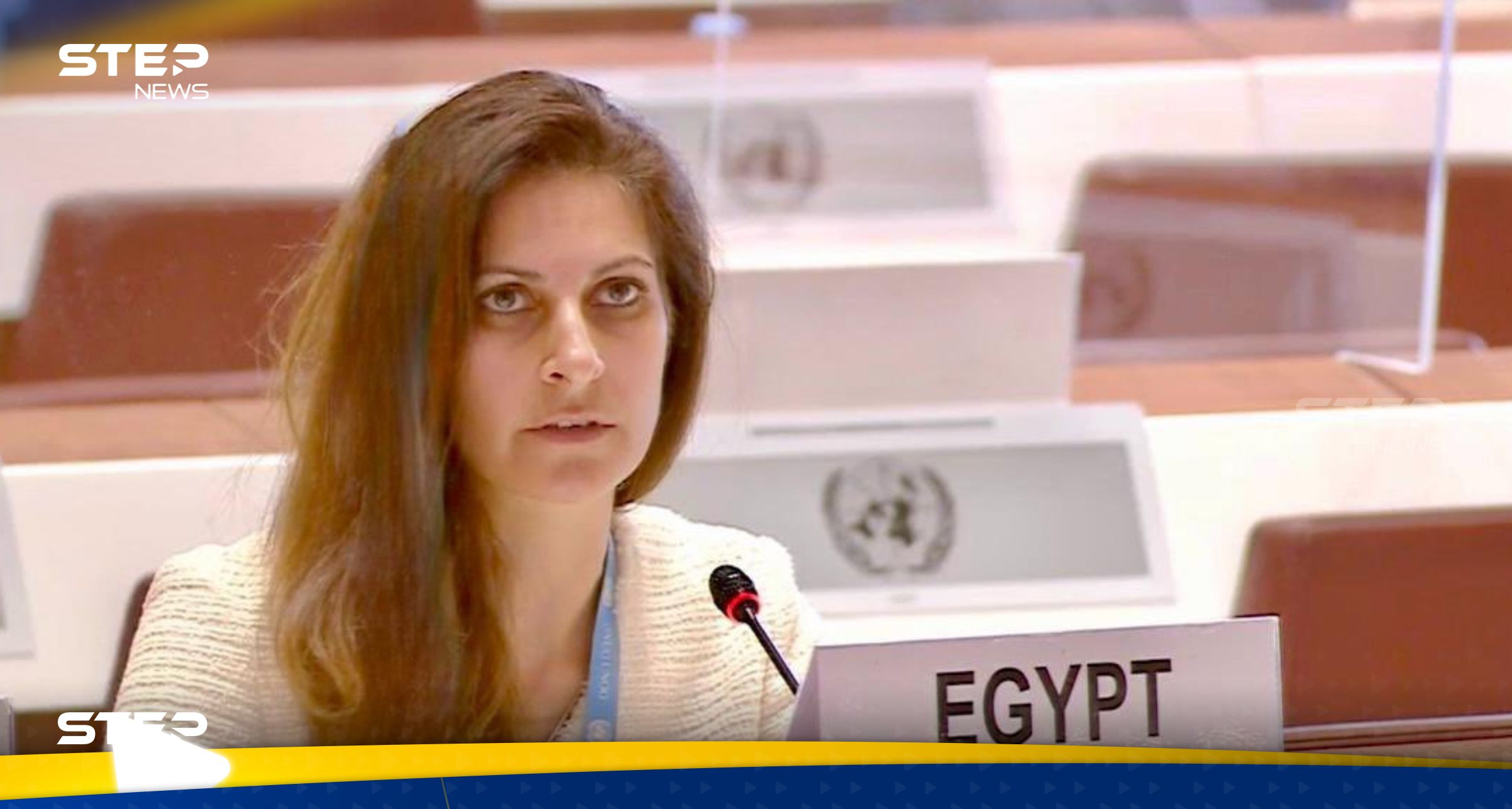 مصر تكشف تفاصيل مرافعتها ضد إسرائيل أمام العدل الدولية (فيديو)