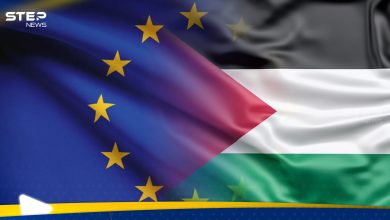 الاتحاد الأوروبي يضع خياران حول فلسطين