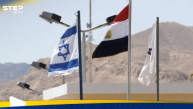 وفد مصري إلى إسرائيل