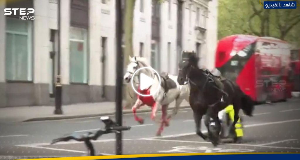هروب خيول الجيش البريطاني في جميع أنحاء لندن.. شاهد ماذا فعلت