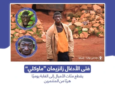 فتى الأدغال زانزيمان يقطع مئات الأميال إلى الغابة هرباً من المتنمرين