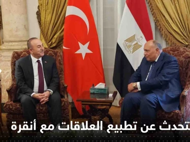 عودة السفراء وعقد لقاء بين أردوغان والسيسي.. أبرز تصريحات وزيري خارجية مصر وتركيا