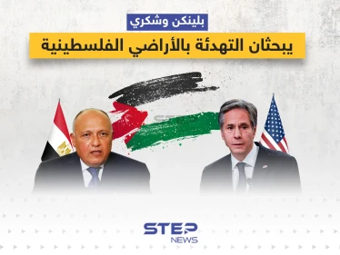 وزراء خارجية أمريكا ومصر يبحثان التهدئة بالأراضي الفلسطينية في القاهرة