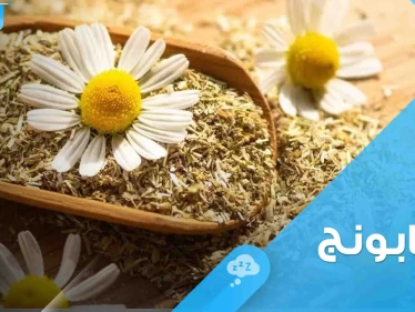 الغذاء والدواء" تتحدث عن 3 فوائد لتناول عشبة البابونج وتحذر من تناوله بحالة واحدة