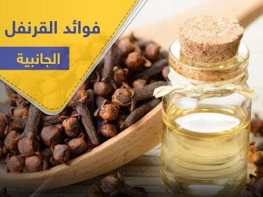 فوائد القرنفل وآثاره الجانبية على الأم المرضع والأطفال