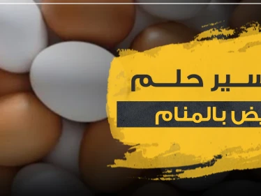 تفسير رؤيا البيض بالمنام.. دلالاته وجميع أوجهه