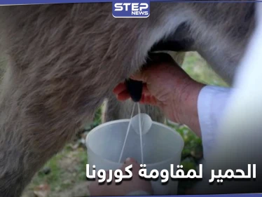 طريقة جديدة لمقاومة كورونا في ألبانيا .. باستخدام حليب الحمير