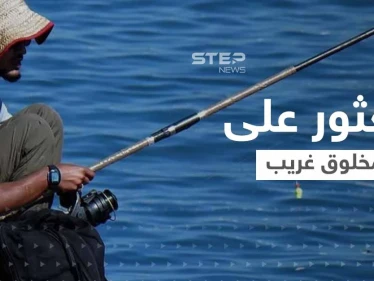 شاهد|| "تنين صغير".. صياد يعثر على مخلوق غريب يثير حيرة كل من يشاهده