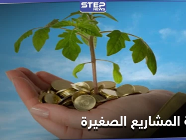 دولة عربية مرشحة للتقدم عالمياً في توطين شركات التكنولوجيا الناشئة