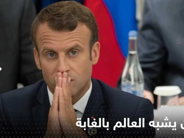 "نحتاج مساعدة الحيوانات".. ماكرون يشبه العالم بالغابة ويتحدث عن معركة بين فيلين